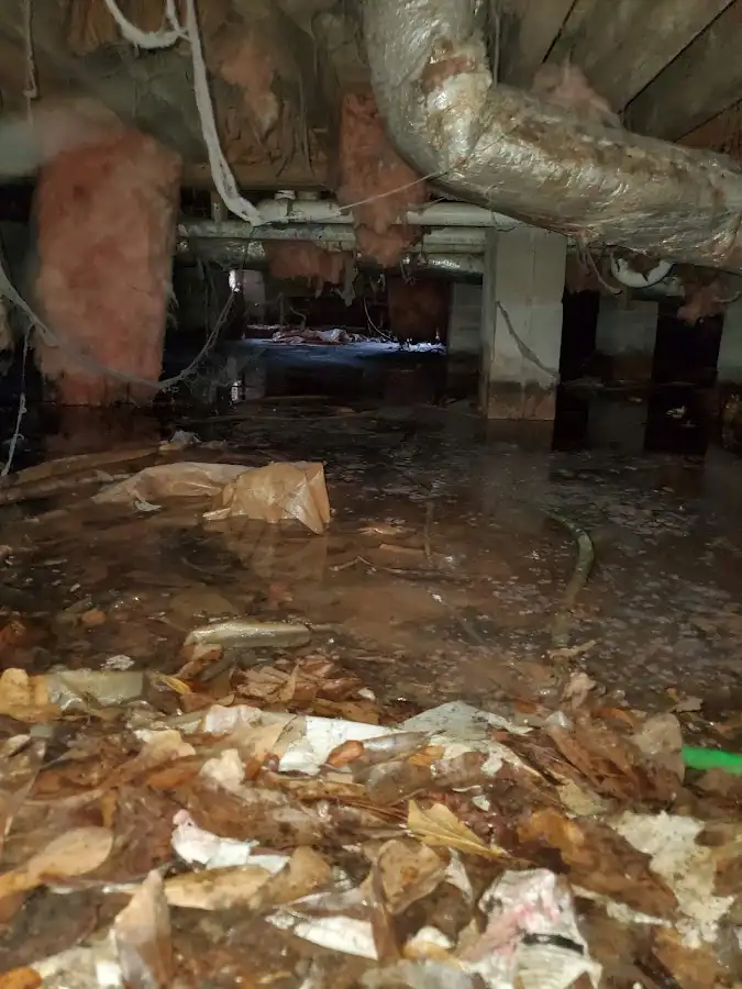 Crawl space flood assessment for Leak Detection & Repair in Loganville